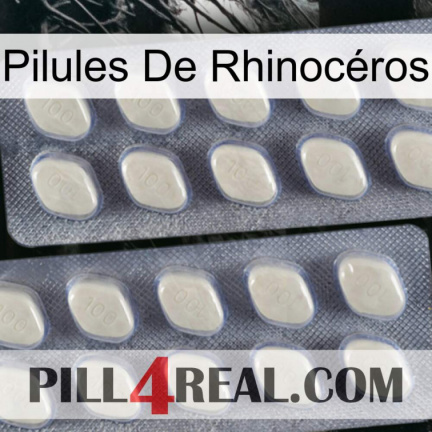 Pilules De Rhinocéros 07